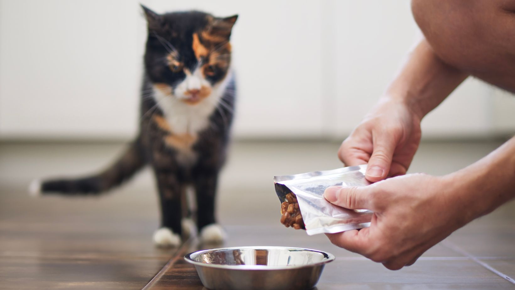 ultimate pet nutrition nutra thrive for cats